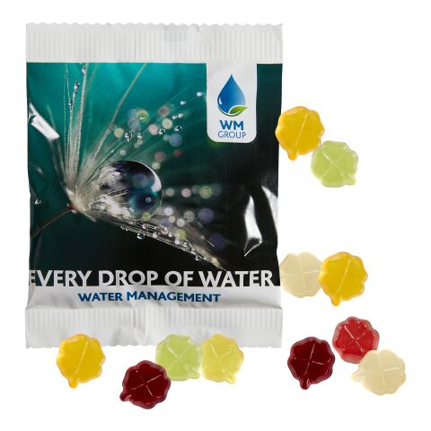 Fruit Gum STANDARD 20 g, VEGAN in a Compostable Bag digital- or flexo printing