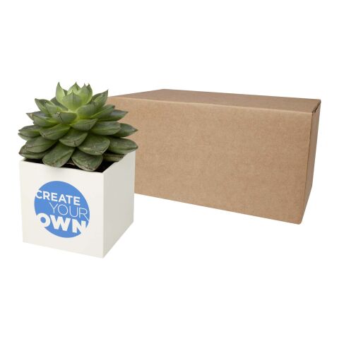 Hey Pots aluminium planted pot - succulent white | No Branding | not available | not available