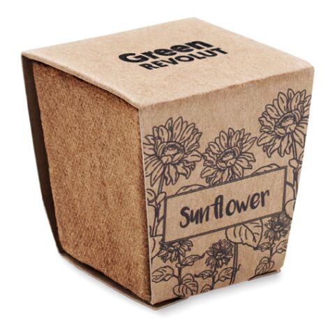 Sunflower growing kit