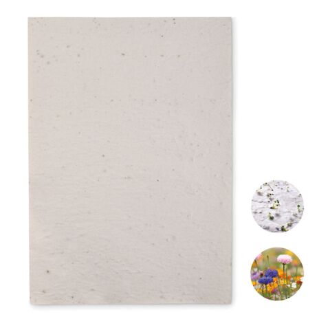 A4 wildflower seed paper sheet white | No Branding | not available | not available