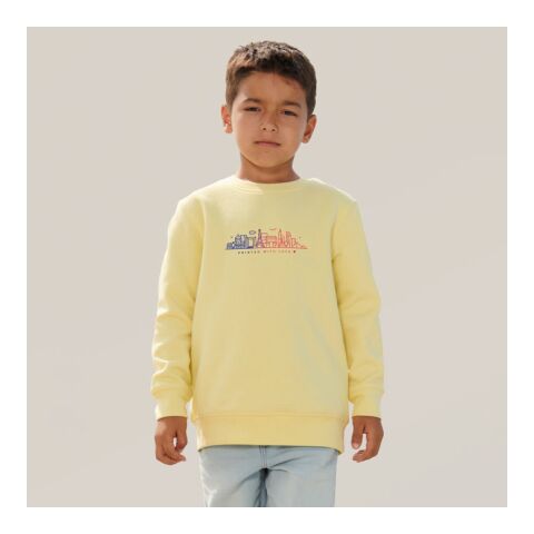 COLUMBIA KIDS Sweater Light Yellow | L | 1-color Screen Print | BACK | 200 mm x 200 mm | not available